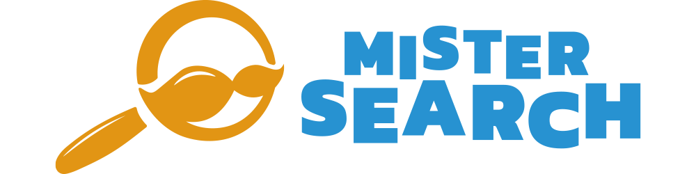 Logo Mister Search